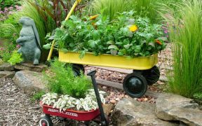 Container Garden Design Secrets