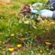 person removing weeds growing in yard
